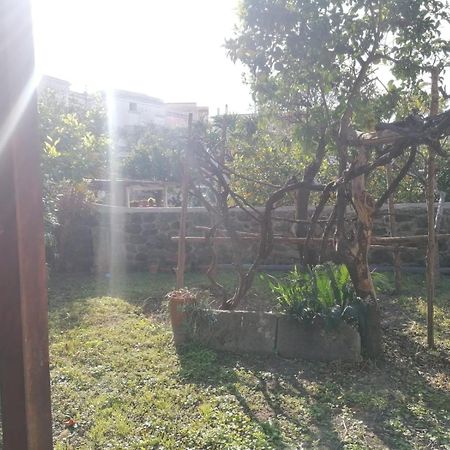 Dimora Coloniale B&B Forio di Ischia Εξωτερικό φωτογραφία