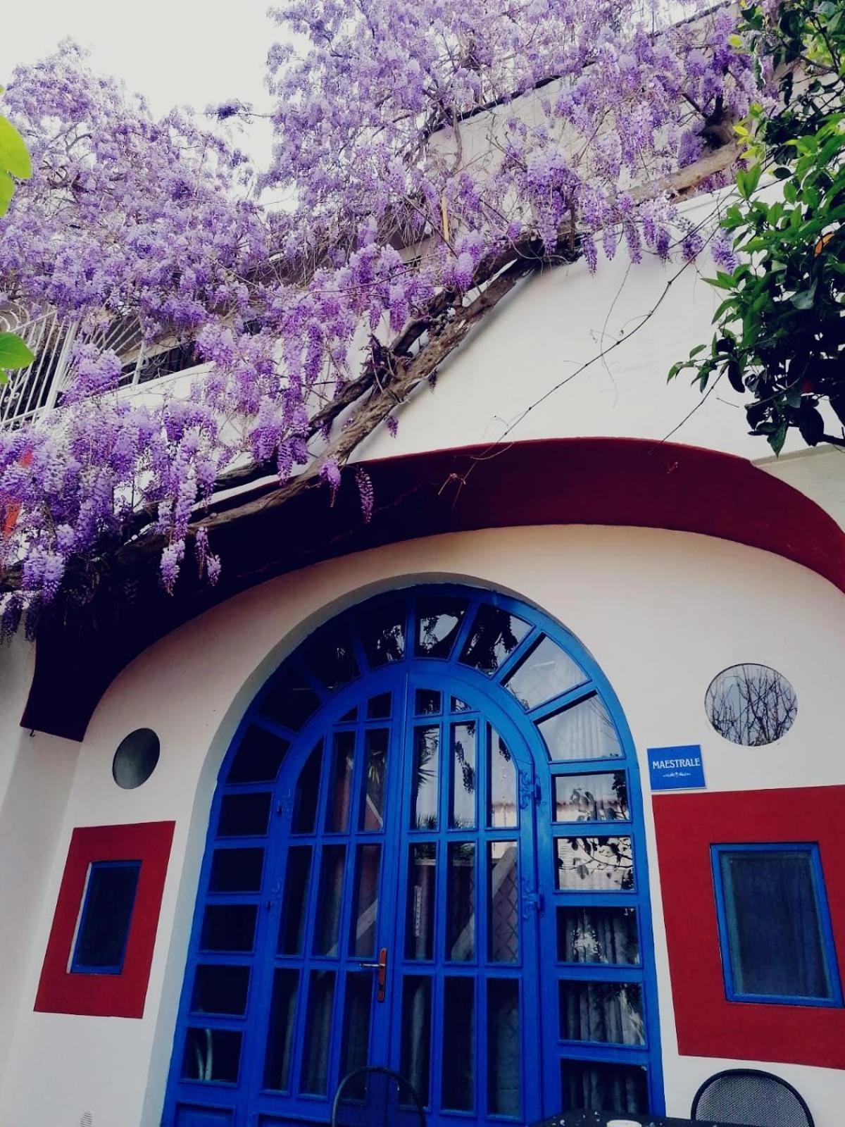 Dimora Coloniale B&B Forio di Ischia Εξωτερικό φωτογραφία